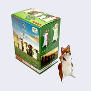 Small plastic figure of a Shiba Inu, standing on its hind legs and saluting with one paw. It stands in front of its product packaging.