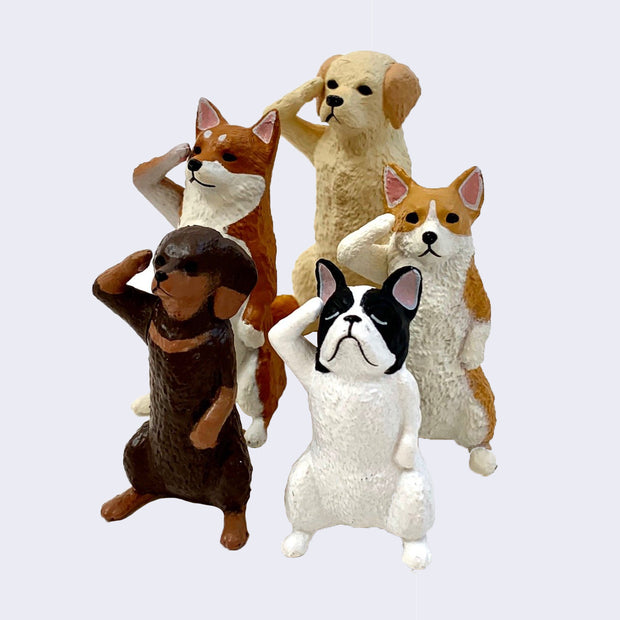 5 small plastic figurines of dogs, all standing on their hind legs and saluting with one paw to their foreheads. Dog breeds include: Lab, Shiba Inu, Corgi, French Bulldog and a Dachshund. 