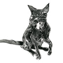 Neko Show 2 - Sarah Pinner - "I Can Feel Your Hope"