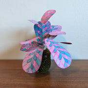 Sculpture of a plant made out of pink and blue risograph printed paper leaves, attached by wire to a pot. Leaves have a rounded striping pattern. 