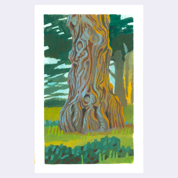 Sitting Outside - #96 - Tom Eichacker - "Point Reyes Cypress"