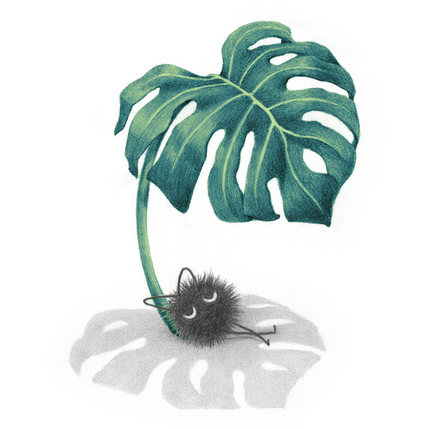 Finely shaded color pencil illustration of a single monstera leaf propped up like an umbrella, with a small soot sprite relaxing under it. All white background.