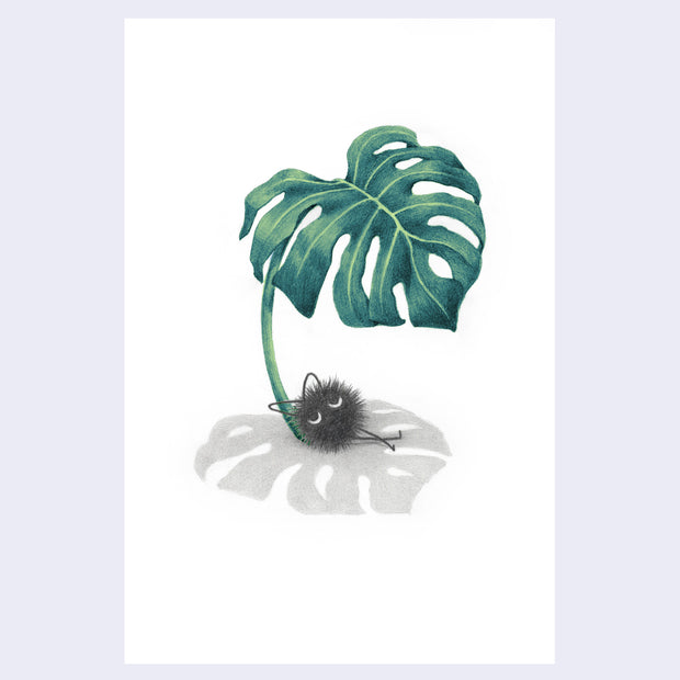 Finely shaded color pencil illustration of a single monstera leaf propped up like an umbrella, with a small soot sprite relaxing under it. All white background.