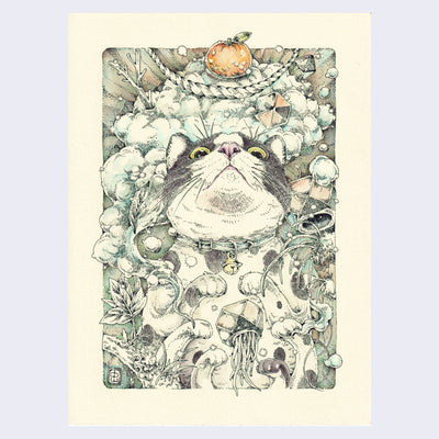 Ink illustration on cream colored paper of a tuxedo cat, belly up and looking straight at the viewer. Around them are various plants, clouds and accessories.