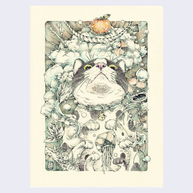 Ink illustration on cream colored paper of a tuxedo cat, belly up and looking straight at the viewer. Around them are various plants, clouds and accessories.