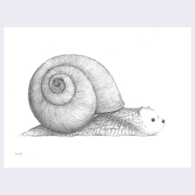 Luke Chueh - More Drawings - "Snails Pace"