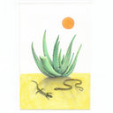 Color pencil illustration of an aloe plant in the desert, with one of its leaves cut off. A small gecko and snake lay in the shade of the plant.