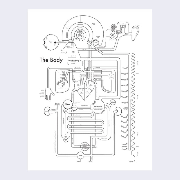 Infographic black line style illustration of the systems of the human body, including small labels for the parts of the brain, heart, organs, spine, eyes, ears and digestive system.