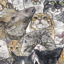 Close up of pattern style illustration, full surface print covered in different close up illustrations of cats. Almost every cat is a different breed. A single warthog is hidden among them.