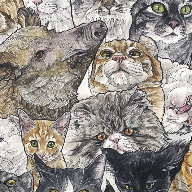 Close up of pattern style illustration, full surface print covered in different close up illustrations of cats. Almost every cat is a different breed. A single warthog is hidden among them.