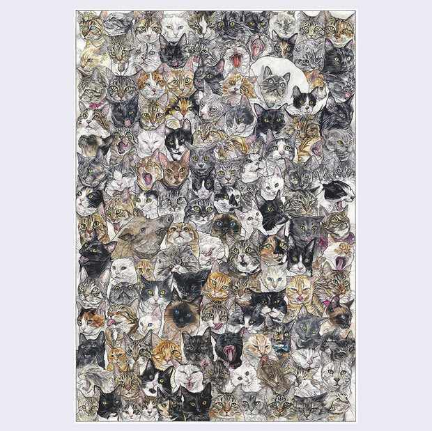 Pattern style illustration, full surface print covered in different close up illustrations of cats. Almost every cat is a different breed. A single warthog is hidden among them.
