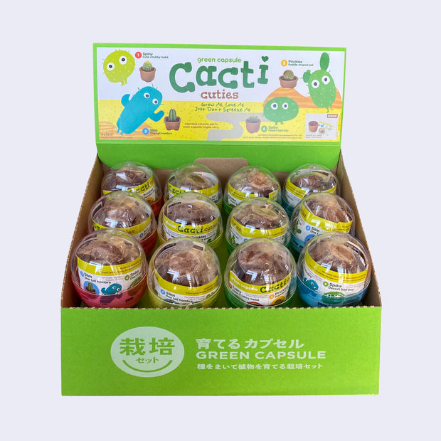 Cardboard display of various clear sphere capsules. Japanese writing is on front of display and "Cacti Cuties" is on top, with illustrations and photos of different cacti.