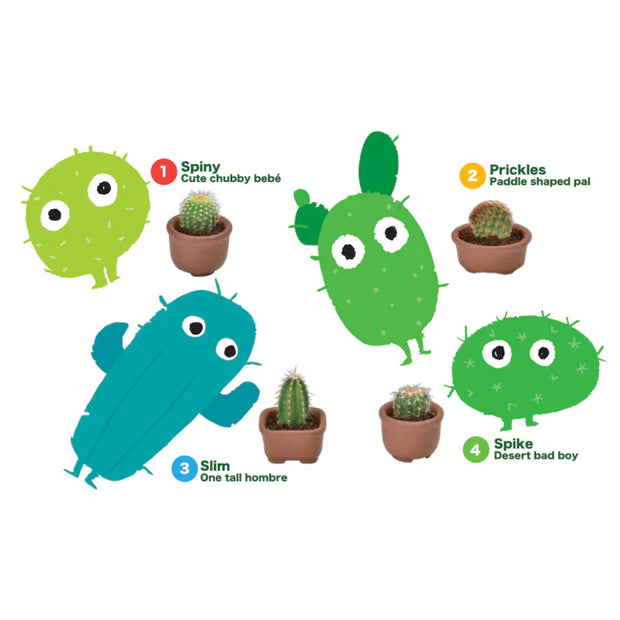 Illustration showing 4 different types of cacti, accompanied by their photos. Options include: Spiny, Prickles, Slim and Spike.
