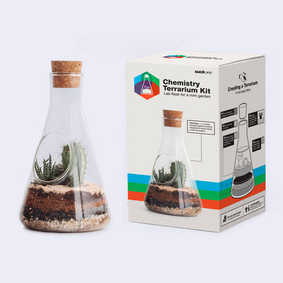 Glass terrarium shaped as a chemistry flask with a cork top. Inside, are multiple layers of soil with some succulents growing.