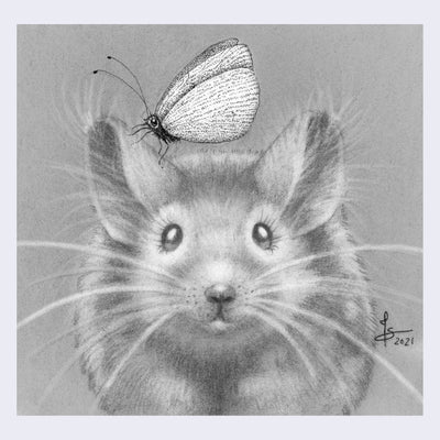 Totoro Show 7 - Juliet Schreckinger - "Penelope the Moth and her Chinchilla Friend"