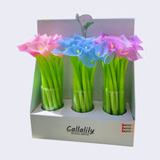 Pen display, "Callalily" written along the box and 3 clear cups hold bright pink, periwinkle, and violet lily flower topped pens.