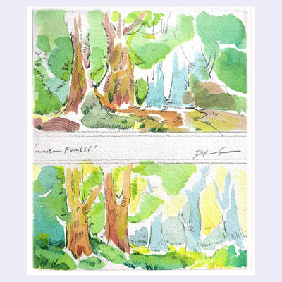 Pencil and watercolor drawing of 2 forest scenes, atop of each other like thumbnails. They are loosely sketched and the watercolor is applied loosely as well.
