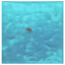 Edwin Ushiro - Kalo-eke-eke - #9