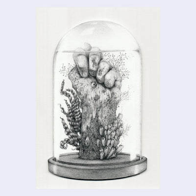 Finely detailed pencil illustration of a glass dome with a fist, holding its thumb, within. Plants and underwater fauna grows off the hand. All white background.