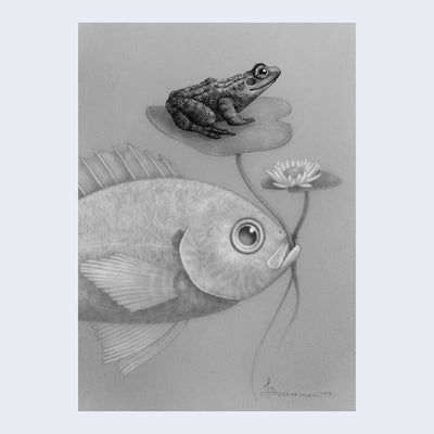 A finely detailed illustration of a fish, holding stems of two lily pads in its moth. A flower sits on one lily pad, a frog on the other. Illustration is greyscale and maintains a slightly fuzzy visual feature around the fish.