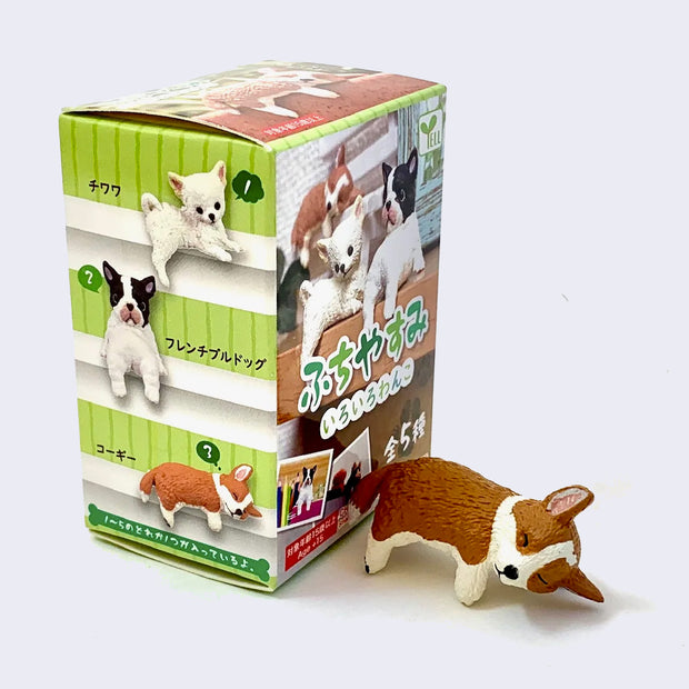 Small plastic dog figure, brown with white color accents, slumped over an invisible edge with limbs dangling and eyes closed as though sleeping. It is next to a green blind box packaging, showing other plastic dog figures.
