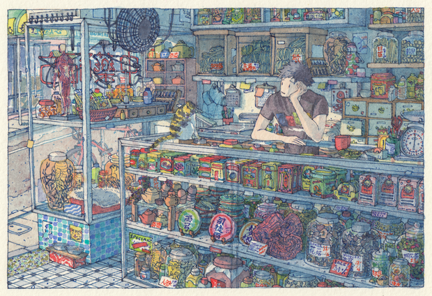 Detailed illustration of a shopkeep sitting at the counter of an herb shop, with various jarred plants and herbs, ceramic plates and boxed goods. They hold their head in their hand and look out the window, a cat cleans itself on the counter nearby.