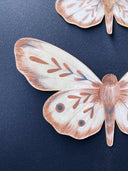 Close up of two brown moths made out of paper, shown at the side to display 3 dimensionality.