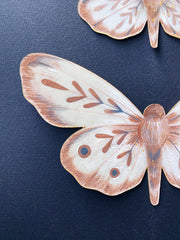 Close up of two brown moths made out of paper, shown at the side to display 3 dimensionality.