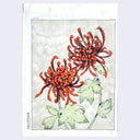 Watercolor illustration of 2 red chrysanthemums with green leaves and gray background.