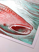 Underwater Show - Sanaa Khan - "Protect Our Seas"