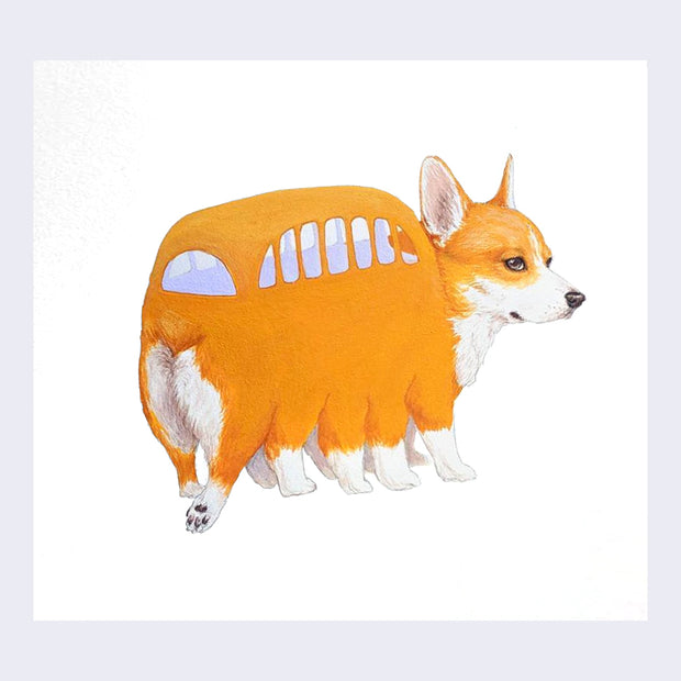 Illustration of a corgi shaped like Catbus from My Neighbor Totoro, its body like a bus with 10 legs.