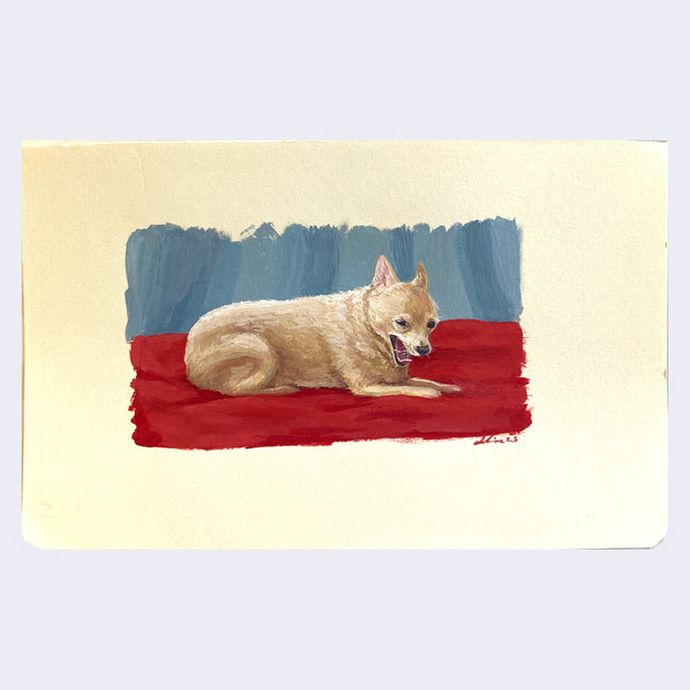 Painting on cream colored paper of a small blonde chihuahua, realistically rendered. It lays on a red blanket and yawns.