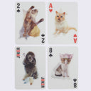 3D Cat Playing Cards