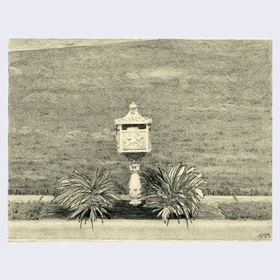 Finely rendered pencil drawing on cream paper of an ornate white mailbox with two spikey plants nearby. Behind is a grass lawn.