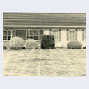 Finely rendered pencil illustration on cream paper of a well manicured suburban lawn with a long ranch style house in the background, hidden by various bushes.