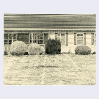 Finely rendered pencil illustration on cream paper of a well manicured suburban lawn with a long ranch style house in the background, hidden by various bushes.