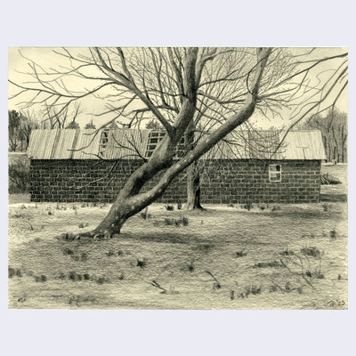 Detailed graphite drawing on cream paper of a long brick building with a disheveled roof. In front is a old bare tree.