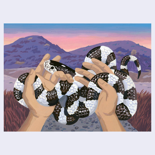 Painting of a black and white king snake, intertwined in two hands. A blue into pink sunset glows behind a purple mountain range with desert grass directly behind the hands.