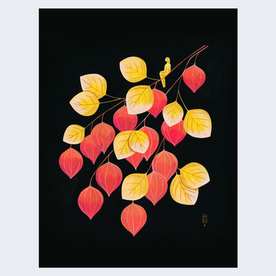 Maggie Chiang - Fantastic Fruits - "Lanterns"