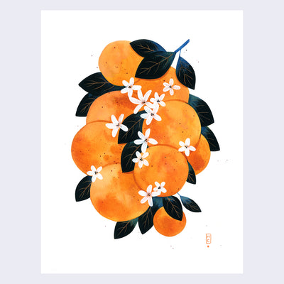 Maggie Chiang - Fantastic Fruits - "Orange"