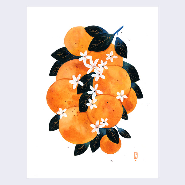 Maggie Chiang - Fantastic Fruits - "Orange"