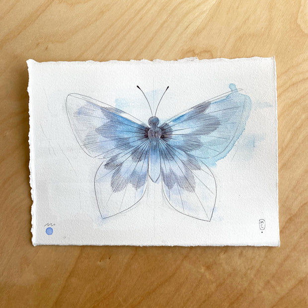 Watercolor illustration of a blue butterfly with its wings spread out flat.
