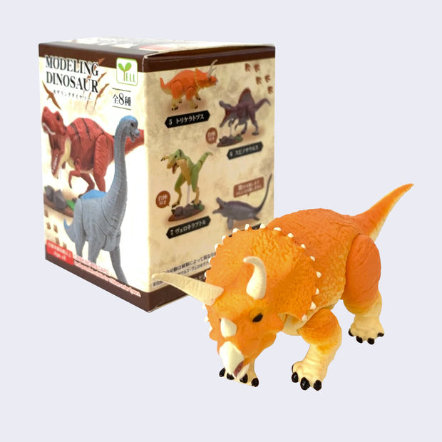Modeling Dinosaur Blind Box