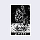 Stark black and white illustration of 2 morel mushrooms sprouting out from the ground in a dark forest setting. "Morel" is written along the bottom.