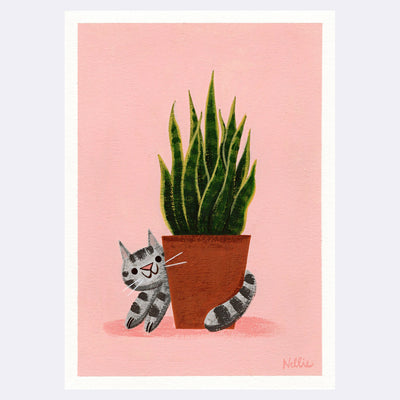 Plants and Flowers Show - Nellie Le - “Sneaky Cat and Snake Plant”