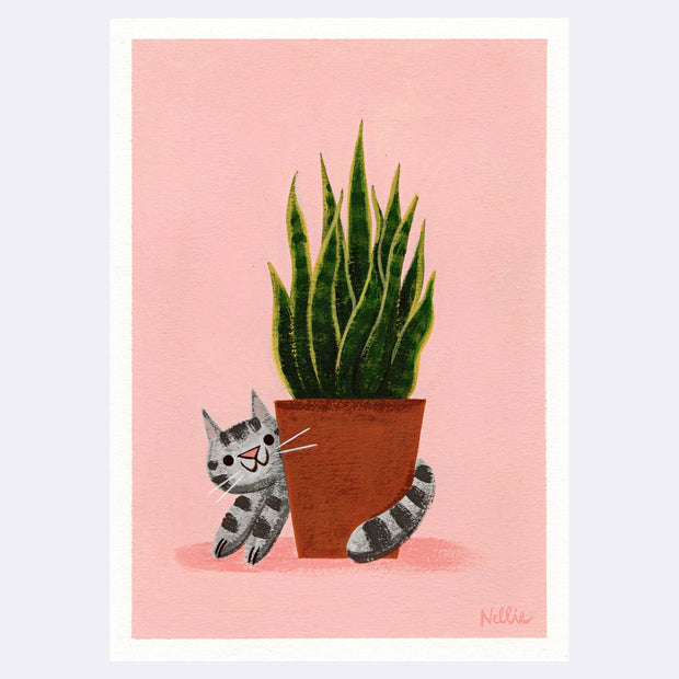 Plants and Flowers Show - Nellie Le - “Sneaky Cat and Snake Plant”