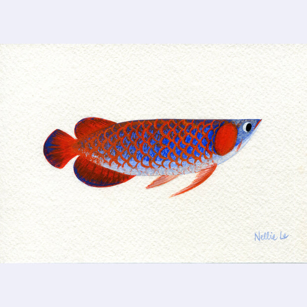 Underwater Show - Nellie Le - "Arowana"