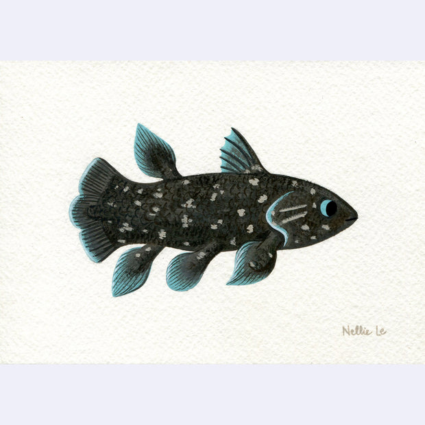 Underwater Show - Nellie Le - "Coelacanth"