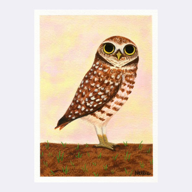 Land and Sea Show - Nellie Le - "Burrowing Owl"