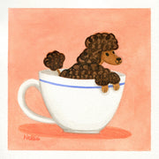 Doggo Show 2 - Nellie Le - "Teacup Poodle"